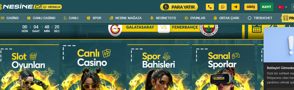 Nesinecasino Hakkında