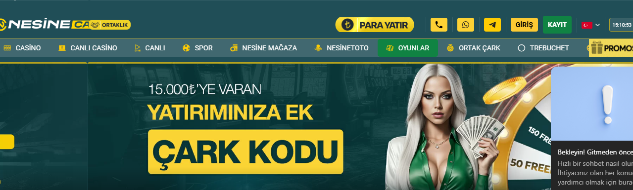 Nesinecasino Üyelik İptali